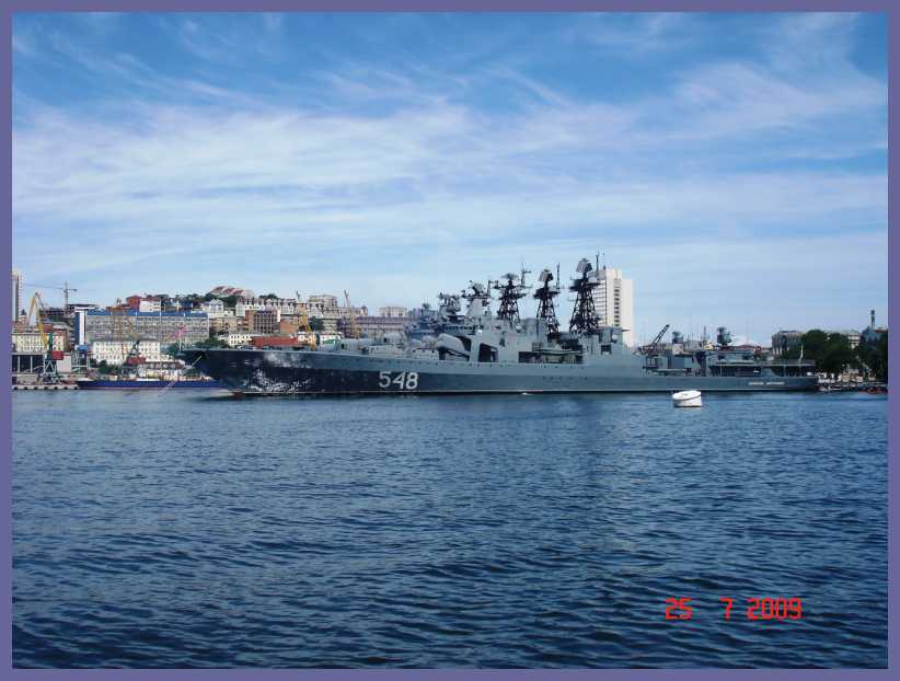 Военные корабли в бухте Золотой Рог. 